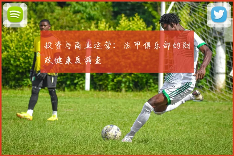 投资与商业运营：法甲俱乐部的财政健康度调查